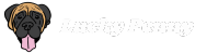 Lucky Penny studio logo